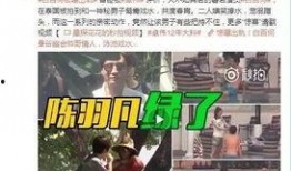 天涯爆料颜茂昆视频,颜茂昆视频事件引发热议
