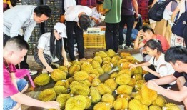 南宁水果爆料事件最新,揭秘背后真相与市场风云