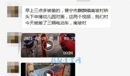 刘艳红网络爆料视频在线观看,揭秘事件真相