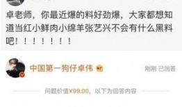 卓伟的爆料娱乐圈是谁,揭秘娱乐圈神秘人物真实身份