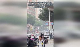爆料视频摩托车大全,爆款视频带你领略各式摩托风采