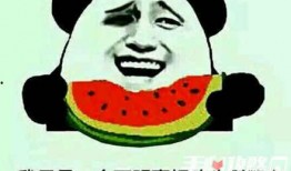 娱乐吃瓜酱朋友专属梗