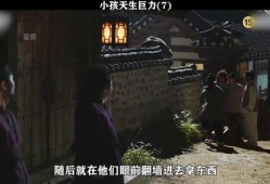 百姓的盗贼在线观看,揭秘网络盗贼的在线追踪之旅