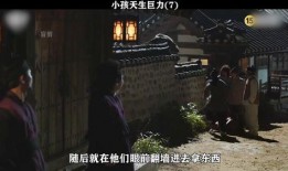 百姓的盗贼在线观看,揭秘网络盗贼的在线追踪之旅