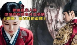 百姓的盗贼在线观看,揭秘网络盗贼的在线追踪之旅