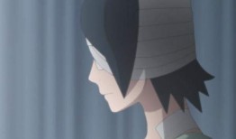 中秋佐助爆料视频合集,揭秘忍者世界背后的秘密与真相