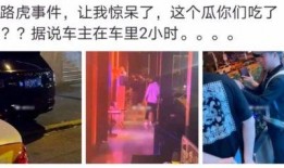 银川网红吃瓜事件视频,一场网络热议的瓜田奇遇