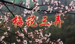 梅花三弄全集在线观看,穿越时空的古典传奇，在线观看尽享经典