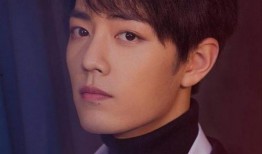 圈内最新爆料肖战是谁,揭秘娱乐圈新晋流量小生的崛起之路