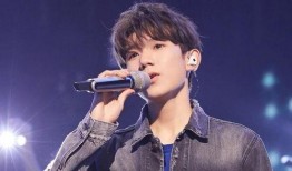 娱记爆料王源视频,娱记独家爆料背后的故事