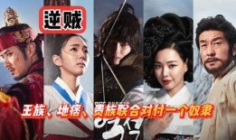 百姓的盗贼在线观看,揭秘网络盗贼的在线追踪之旅