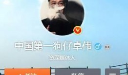狗仔爆料实锤视频大全,娱乐圈真相大揭秘