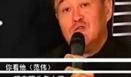 直播爆料范伟视频,独家视频内容大曝光