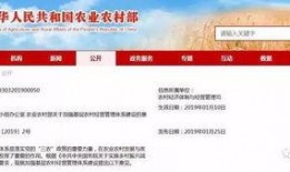 农村国宝爆料新闻最新版,揭秘最新版惊天新闻背后的真相