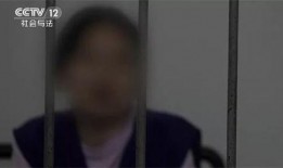 南昌黑虎爆料事件始末视频,真相与争议的漩涡