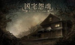 怨魂在线观看,在线惊悚之旅，揭秘幽冥之谜