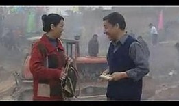 村官在线观看,透视农村基层治理新篇章