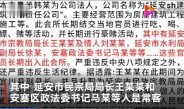 陕西爆料笑话视频大全,爆笑视频大全集锦