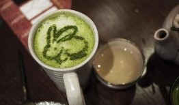 抹茶吃鸡爆料视频,揭秘网红吃鸡新潮流