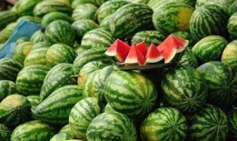 石河子吃瓜最新事件爆料,揭秘背后惊人真相