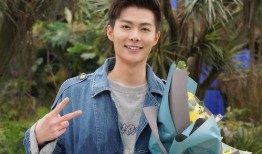 娱乐圈爆料徐璐张铭恩,徐璐张铭恩恋情疑曝光，甜蜜互动引关注