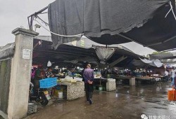 岑前村拆迁爆料新闻,揭秘背后利益纠葛与居民安置困境”