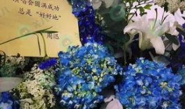 花篮网最新爆料,最新爆料背后的惊人真相