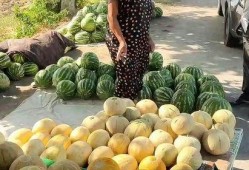 路边摊免费吃瓜,街头美食盛宴等你来尝