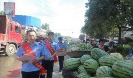凉山吃瓜网红事件,揭秘网络舆论背后的真相与反思