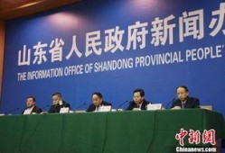山东新东方爆料新闻事件,揭秘教育机构内幕，师生权益引关注