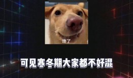 娱乐吃瓜八卦图片大全,吃瓜图鉴，一网打尽明星八卦瞬间