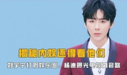 娱乐圈爆料电视剧