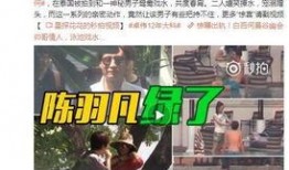 赵大师揭秘爆料视频全集,视频全集深度解析，揭开神秘面纱