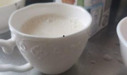 奶糕吐司爆料视频,揭秘网红视频背后的美味奥秘