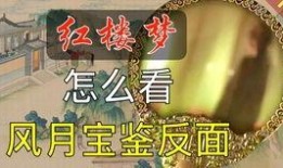飞燕爆料完整视频,事件真相全解析