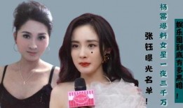 娱乐圈明星艺人被爆料了,真相与舆论的漩涡