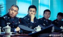 警察锅哥电视剧全集在线观看,揭秘警界风云，正义与智慧的较量