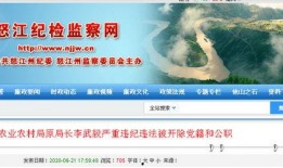 云南云投爆料最新消息,揭秘神秘项目背后的真相
