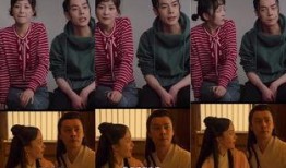 电视剧卧全集在线观看,揭秘卧底风云，揭秘卧底风云