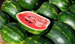 吃瓜娱乐图片大全大图