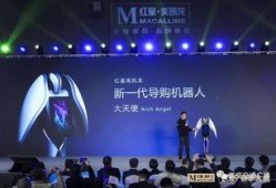 爆料红星美凯龙事件视频,揭秘家居行业乱象