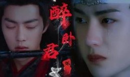 电视剧卧全集在线观看,揭秘卧底风云，揭秘卧底风云