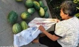 石河子吃瓜最新事件爆料,揭秘背后惊人真相