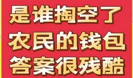 爆料新闻开心时刻怎么写,开心时刻背后的故事