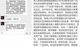 徐小平的爆料有哪些视频,揭秘那些震撼人心的视频背后故事