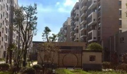 安平彩礼行情最新爆料,最新爆料揭示婚嫁费用新趋势