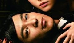 legalhigh在线观看,在线观看，揭秘法庭上的智慧较量