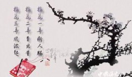 梅花三弄全集在线观看,穿越时空的古典传奇，在线观看尽享经典