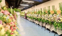 花篮网最新爆料,最新爆料背后的惊人真相