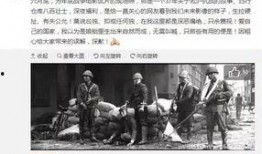 南昌黑虎爆料事件始末视频,真相与争议的漩涡